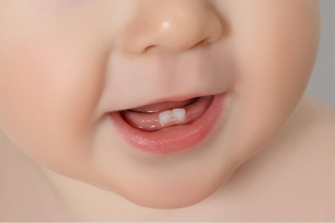 Babys erste Zähne